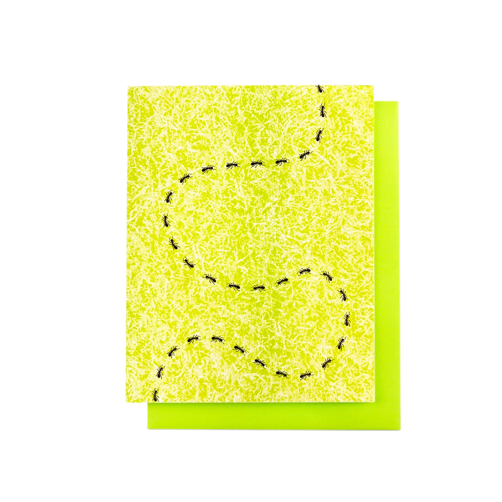 Ants in the Grass - Risograph Greeting Card