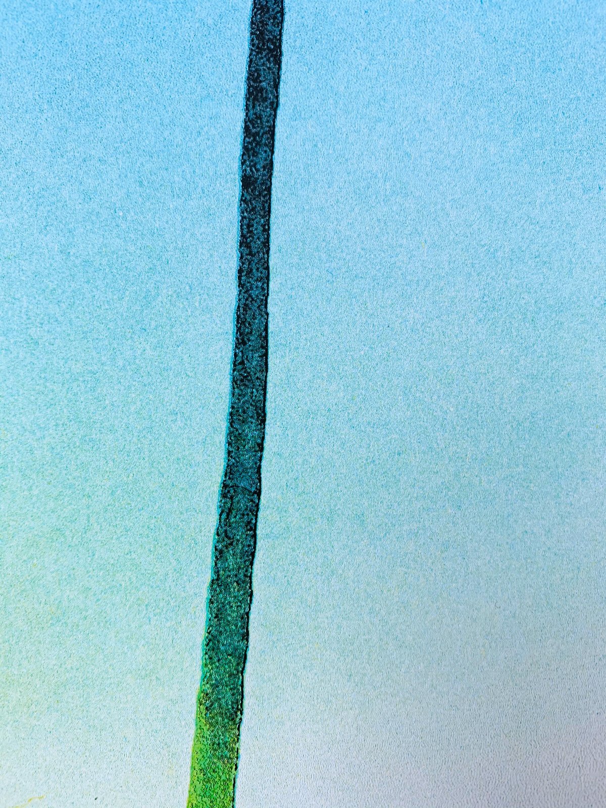 LA Palms - Limited Edition Risograph Art Print - Image 5