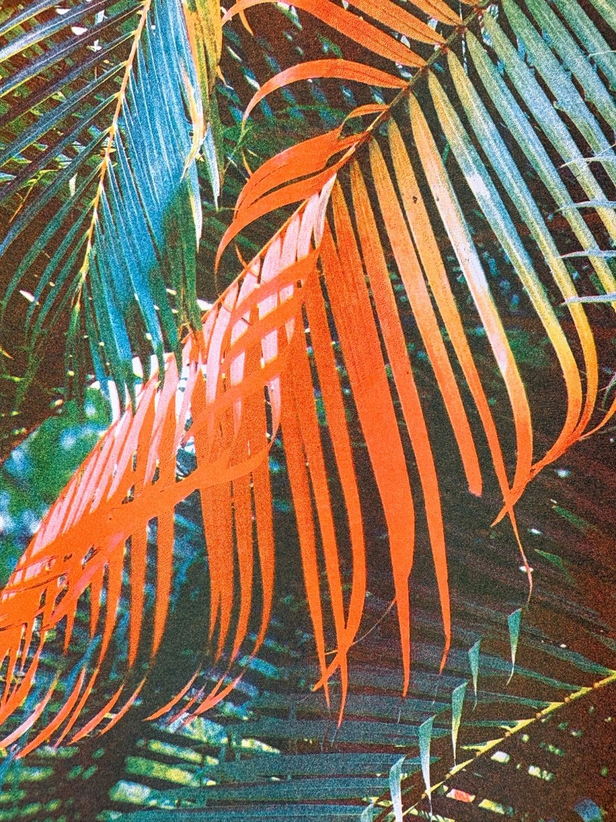 Neon Orange Palm - Risograph Art Print - Image 3